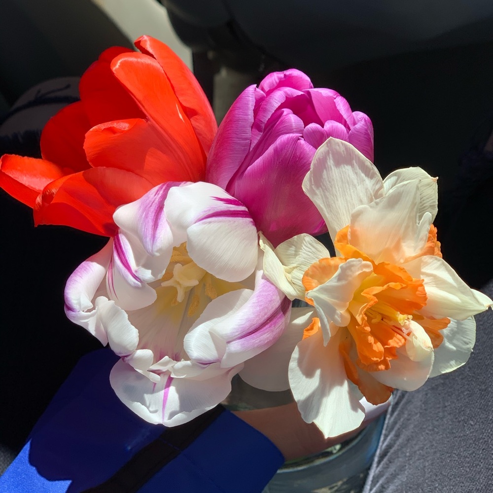 Meet your Posher, Yari